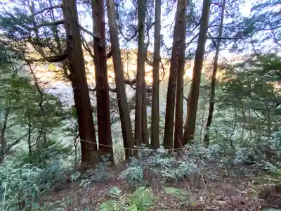 天岩戸神社(宮崎県)