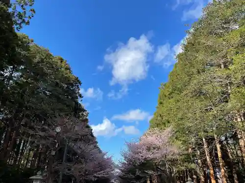 北海道神宮の景色