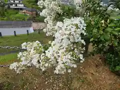 かむろ大師(和歌山県)