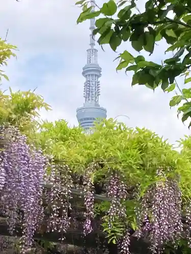 亀戸天神社(東京都)