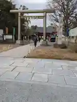 浅草神社の鳥居