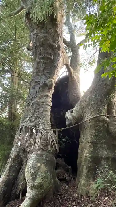 日高見神社(宮城県)