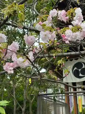 亀戸 香取神社(東京都)
