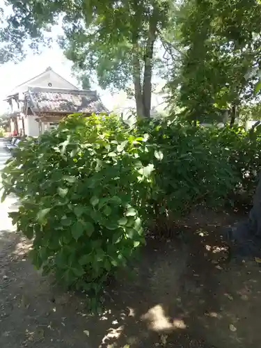 能護寺(埼玉県)