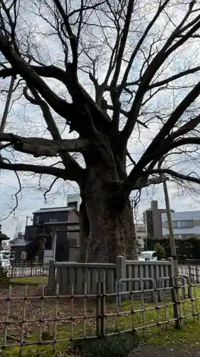 神明宮(石川県)