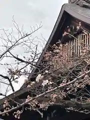 靖國神社の自然