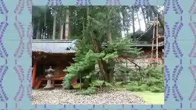 日光山輪王寺 大猷院(栃木県)