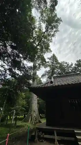 玉太岡神社(埼玉県)
