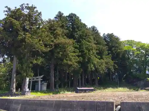 白山神社の{uncategorized: "未分類", other: "その他", undefined: "問題あり", building: "その他建物", grave: "お墓", sacred_gate: "鳥居", guardian: "狛犬", statue: "像", buddha: "仏像", history: "歴史", nature: "自然", garden: "庭園", animal: "動物", pagoda: "塔", temizu: "手水舎", mountain_gate: "山門・神門", sanctuary: "本殿・本堂", subordinate: "末社・摂社", art: "芸術", scenery: "景色", jizo: "地蔵", ema: "絵馬", goshuin: "御朱印", omikuji: "おみくじ", items: "授与品その他", amulet: "お守り", goshuincho: "御朱印帳", eats: "食事", festival: "お祭り", votive_dance: "神楽", shichigosan: "七五三参", wedding: "結婚式", experience: "体験その他", initially: "初詣", around: "周辺", anti_infection: "感染症対策"}