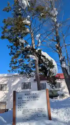 空知神社の自然