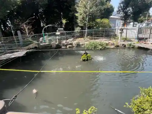 酒見神社の{uncategorized: "未分類", other: "その他", undefined: "問題あり", building: "その他建物", grave: "お墓", sacred_gate: "鳥居", guardian: "狛犬", statue: "像", buddha: "仏像", history: "歴史", nature: "自然", garden: "庭園", animal: "動物", pagoda: "塔", temizu: "手水舎", mountain_gate: "山門・神門", sanctuary: "本殿・本堂", subordinate: "末社・摂社", art: "芸術", scenery: "景色", jizo: "地蔵", ema: "絵馬", goshuin: "御朱印", omikuji: "おみくじ", items: "授与品その他", amulet: "お守り", goshuincho: "御朱印帳", eats: "食事", festival: "お祭り", votive_dance: "神楽", shichigosan: "七五三参", wedding: "結婚式", experience: "体験その他", initially: "初詣", around: "周辺", anti_infection: "感染症対策"}