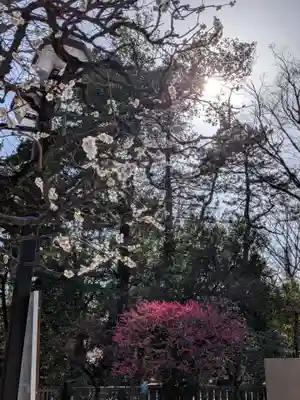 布多天神社(東京都)