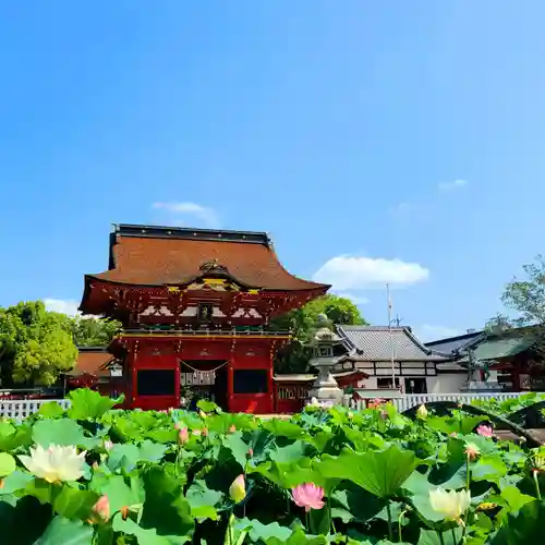 伊賀八幡宮(愛知県)
