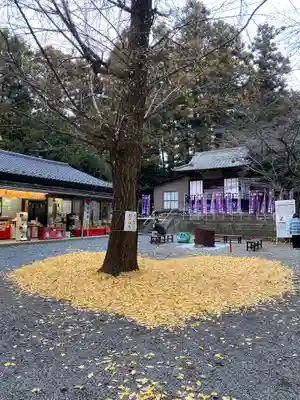 下野 星宮神社(栃木県)