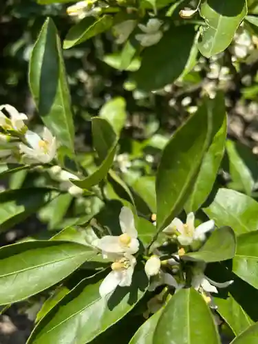 東海市熊野神社(愛知県)