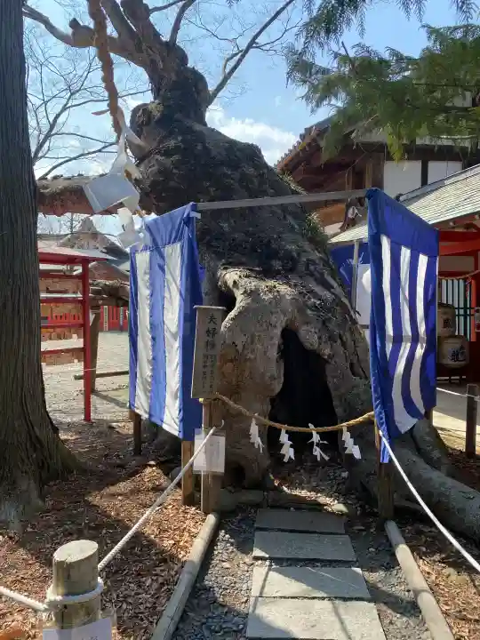 生島足島神社の{uncategorized: "未分類", other: "その他", undefined: "問題あり", building: "その他建物", grave: "お墓", sacred_gate: "鳥居", guardian: "狛犬", statue: "像", buddha: "仏像", history: "歴史", nature: "自然", garden: "庭園", animal: "動物", pagoda: "塔", temizu: "手水舎", mountain_gate: "山門・神門", sanctuary: "本殿・本堂", subordinate: "末社・摂社", art: "芸術", scenery: "景色", jizo: "地蔵", ema: "絵馬", goshuin: "御朱印", omikuji: "おみくじ", items: "授与品その他", amulet: "お守り", goshuincho: "御朱印帳", eats: "食事", festival: "お祭り", votive_dance: "神楽", shichigosan: "七五三参", wedding: "結婚式", experience: "体験その他", initially: "初詣", around: "周辺", anti_infection: "感染症対策"}