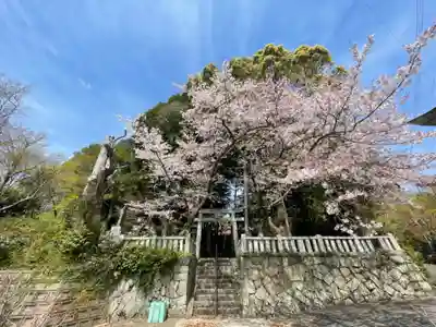 八幡神社(福岡県)