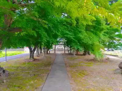 川島神社（宮田町）のその他建物