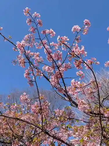 鳩森八幡神社(東京都)
