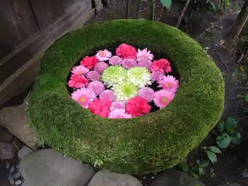 菅生神社(愛知県)