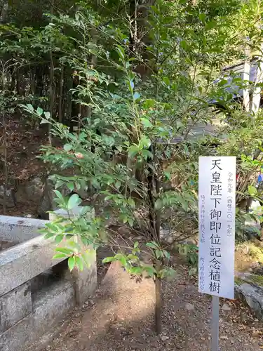 宝登山神社(埼玉県)