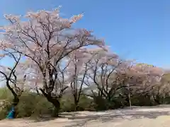 尾曳稲荷神社の自然