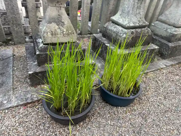 機物神社(大阪府)
