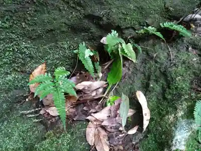 天安河原宮(宮崎県)