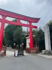 鷲宮神社(埼玉県)