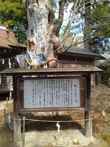 鹿嶋神社(宮城県)