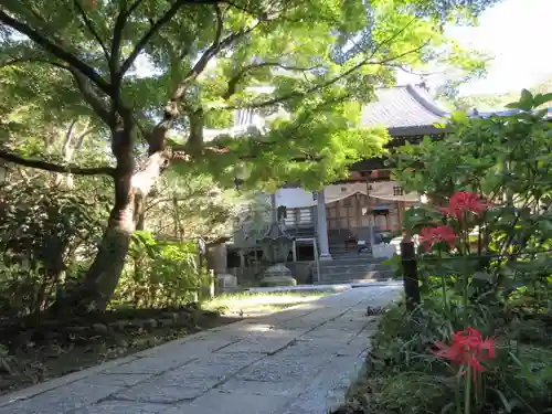 安國論寺（安国論寺）の景色