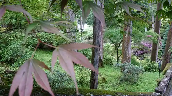 日光山輪王寺 大猷院の自然
