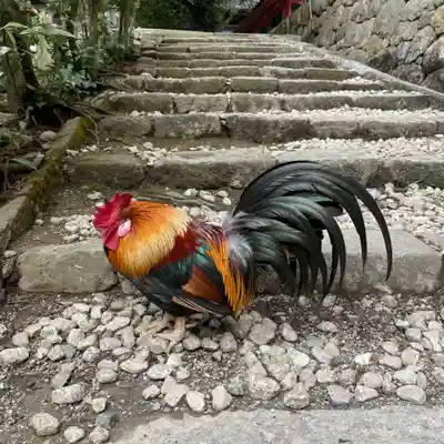 石上神宮(奈良県)