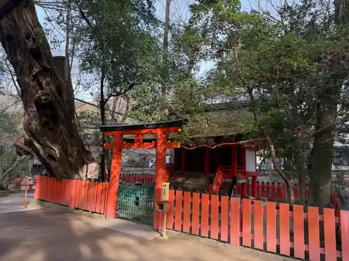 春日大社の{uncategorized: "未分類", other: "その他", undefined: "問題あり", building: "その他建物", grave: "お墓", sacred_gate: "鳥居", guardian: "狛犬", statue: "像", buddha: "仏像", history: "歴史", nature: "自然", garden: "庭園", animal: "動物", pagoda: "塔", temizu: "手水舎", mountain_gate: "山門・神門", sanctuary: "本殿・本堂", subordinate: "末社・摂社", art: "芸術", scenery: "景色", jizo: "地蔵", ema: "絵馬", goshuin: "御朱印", omikuji: "おみくじ", items: "授与品その他", amulet: "お守り", goshuincho: "御朱印帳", eats: "食事", festival: "お祭り", votive_dance: "神楽", shichigosan: "七五三参", wedding: "結婚式", experience: "体験その他", initially: "初詣", around: "周辺", anti_infection: "感染症対策"}
