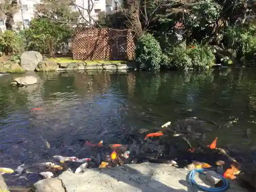 愛宕神社の庭園