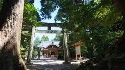 縣神社の鳥居