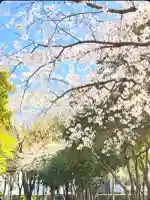 十日恵比須神社(福岡県)