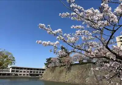 福井神社(福井県)