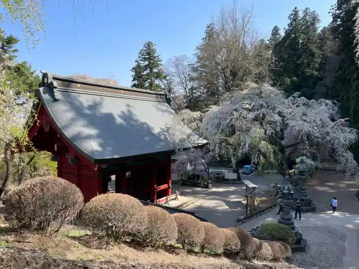 妙義神社(群馬県)