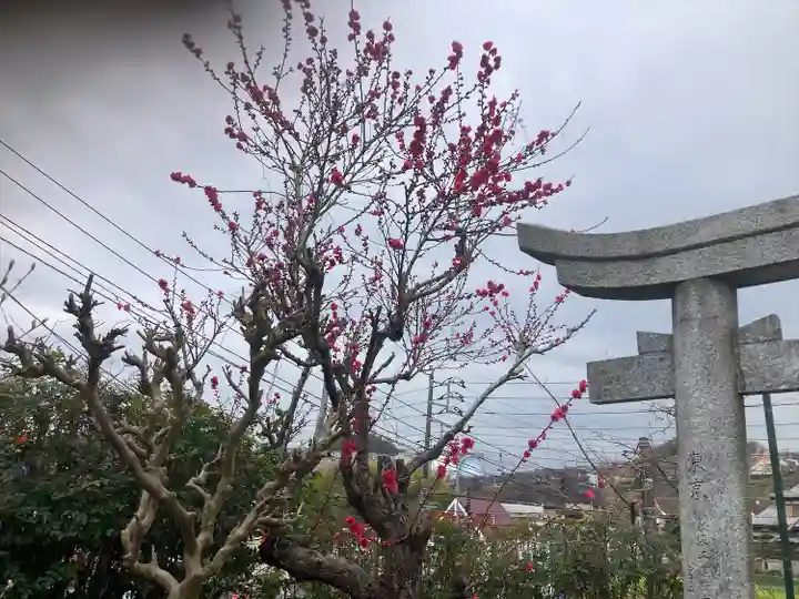 横浜御嶽神社(神奈川県)