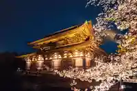 東寺(教王護国寺)(京都府)