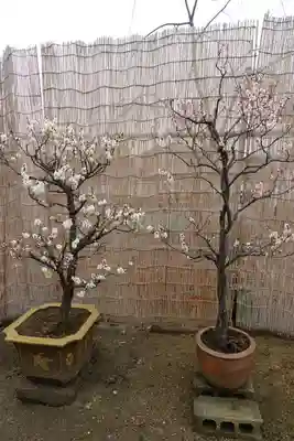 菅原天満宮（菅原神社）のその他建物