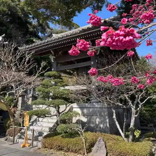 長谷寺(神奈川県)