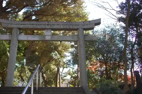 代々木八幡宮の鳥居