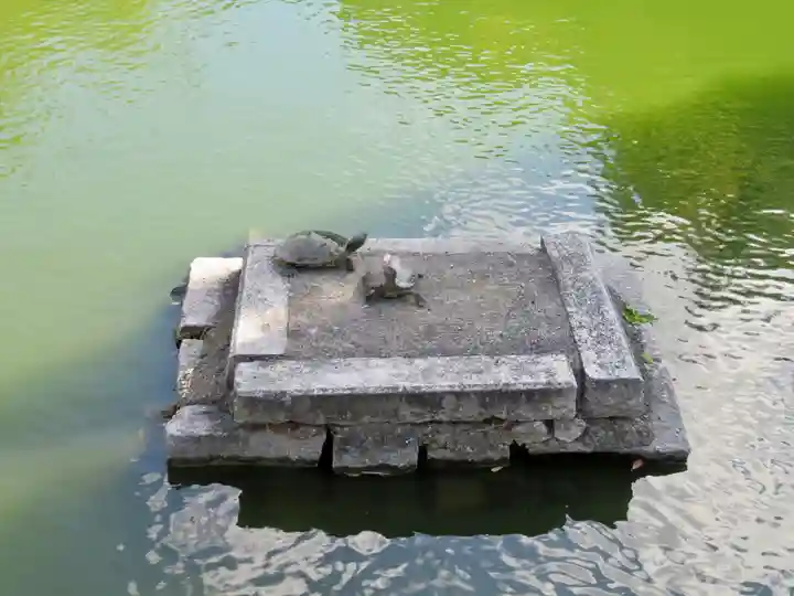東寺(教王護国寺)の動物