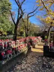 増上寺(東京都)