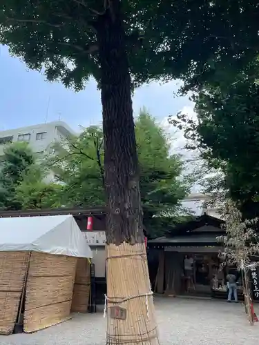 田無神社(東京都)