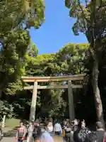 明治神宮の{uncategorized: "未分類", other: "その他", undefined: "問題あり", building: "その他建物", grave: "お墓", sacred_gate: "鳥居", guardian: "狛犬", statue: "像", buddha: "仏像", history: "歴史", nature: "自然", garden: "庭園", animal: "動物", pagoda: "塔", temizu: "手水舎", mountain_gate: "山門・神門", sanctuary: "本殿・本堂", subordinate: "末社・摂社", art: "芸術", scenery: "景色", jizo: "地蔵", ema: "絵馬", goshuin: "御朱印", omikuji: "おみくじ", items: "授与品その他", amulet: "お守り", goshuincho: "御朱印帳", eats: "食事", festival: "お祭り", votive_dance: "神楽", shichigosan: "七五三参", wedding: "結婚式", experience: "体験その他", initially: "初詣", around: "周辺", anti_infection: "感染症対策"}
