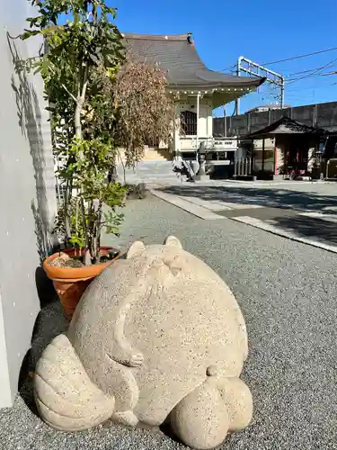 圓通寺(東京都)