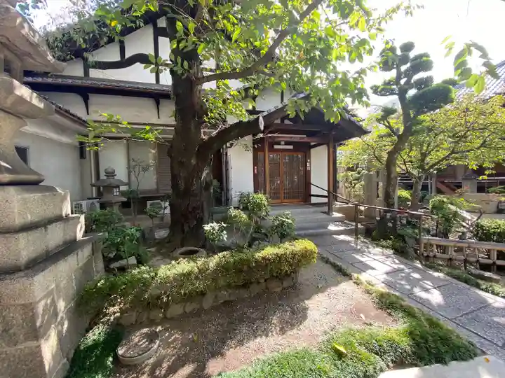墨染寺(桜寺)(京都府)